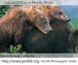 Liyuan20Zou's PreLife Photo