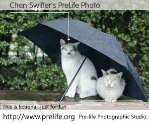 Chen Swifter's PreLife Photo