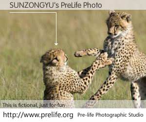 SUNZONGYU's PreLife Photo