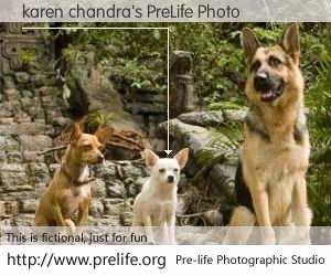 karen chandra's PreLife Photo
