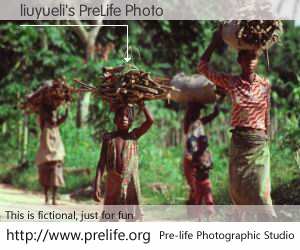 liuyueli's PreLife Photo