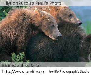 liyuan20zou's PreLife Photo