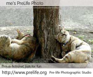 me's PreLife Photo