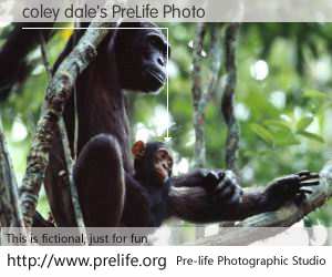 coley dale's PreLife Photo
