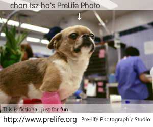 chan tsz ho's PreLife Photo