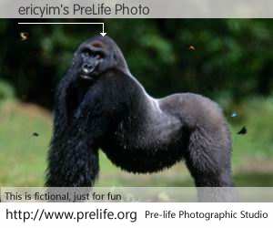 ericyim's PreLife Photo