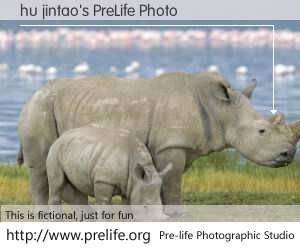 hu jintao's PreLife Photo