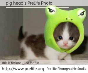 pig head's PreLife Photo
