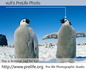 xuli's PreLife Photo
