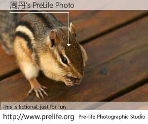 周丹's PreLife Photo