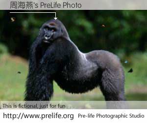 周海燕's PreLife Photo