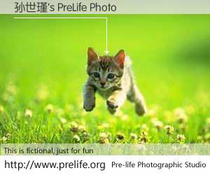 孙世瑾's PreLife Photo