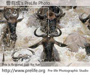 曹有成's PreLife Photo