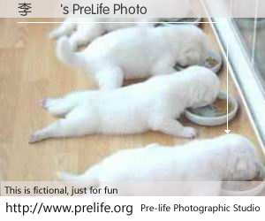 李慭玥's PreLife Photo