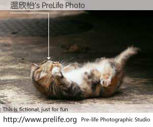 温欣怡's PreLife Photo