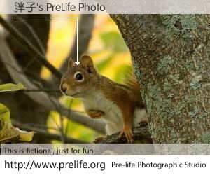 胖子's PreLife Photo