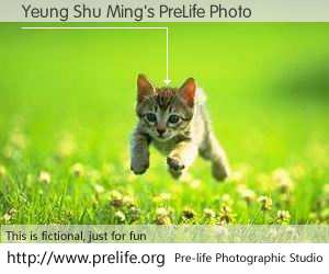 Yeung Shu Ming's PreLife Photo