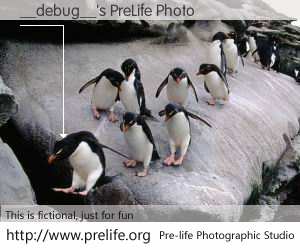 __debug__'s PreLife Photo