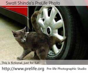 Swati Shinde's PreLife Photo