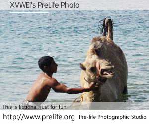 XVWEI's PreLife Photo