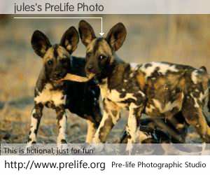 jules's PreLife Photo