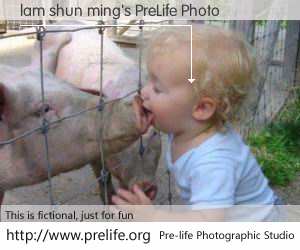 lam shun ming's PreLife Photo