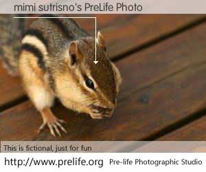 mimi sutrisno's PreLife Photo