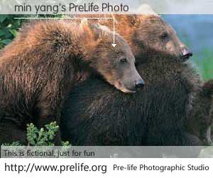 min yang's PreLife Photo