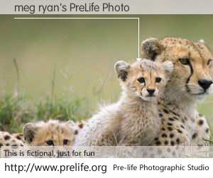 meg ryan's PreLife Photo