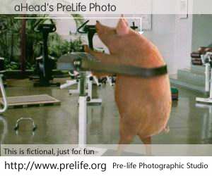 aHead's PreLife Photo
