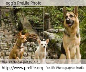 egg's PreLife Photo