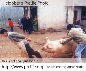 stabber's PreLife Photo