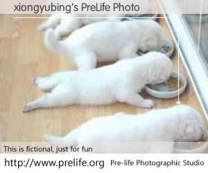 xiongyubing's PreLife Photo