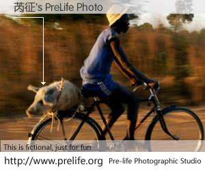 芮征's PreLife Photo