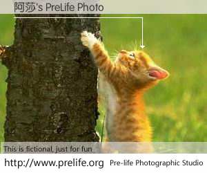 阿莎's PreLife Photo