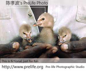 陈孝波's PreLife Photo