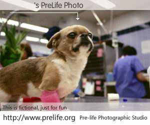 ��Ͽ's PreLife Photo