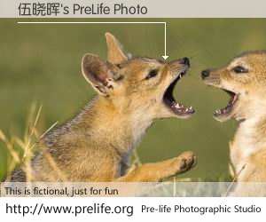 伍晓晖's PreLife Photo