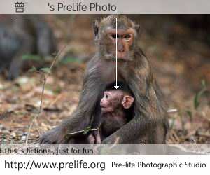 曾蔭權's PreLife Photo