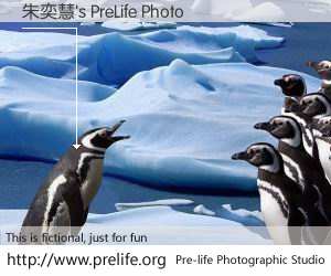 朱奕慧's PreLife Photo