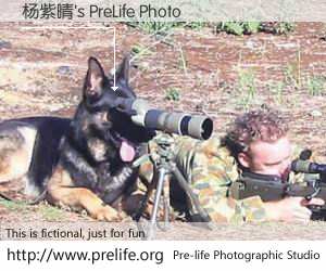 杨紫晴's PreLife Photo