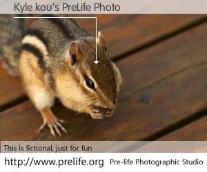 Kyle kou's PreLife Photo