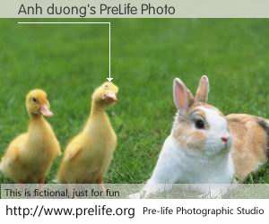 Anh duong's PreLife Photo