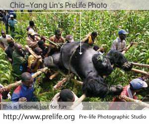 Chia-Yang Lin's PreLife Photo