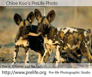 Chloe Koo's PreLife Photo