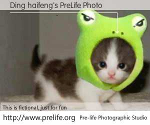 Ding haifeng's PreLife Photo