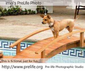 imei's PreLife Photo