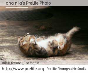ana nila's PreLife Photo