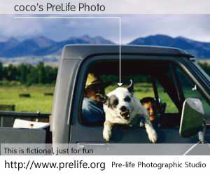 coco's PreLife Photo