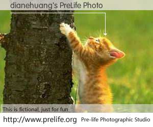 dianehuang's PreLife Photo